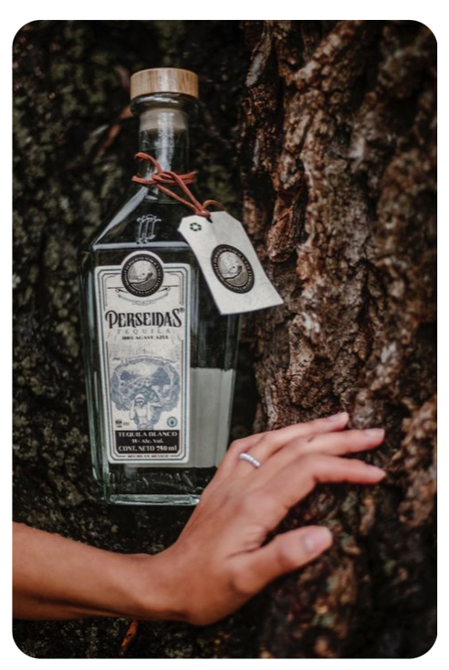 Perseidas Tequila