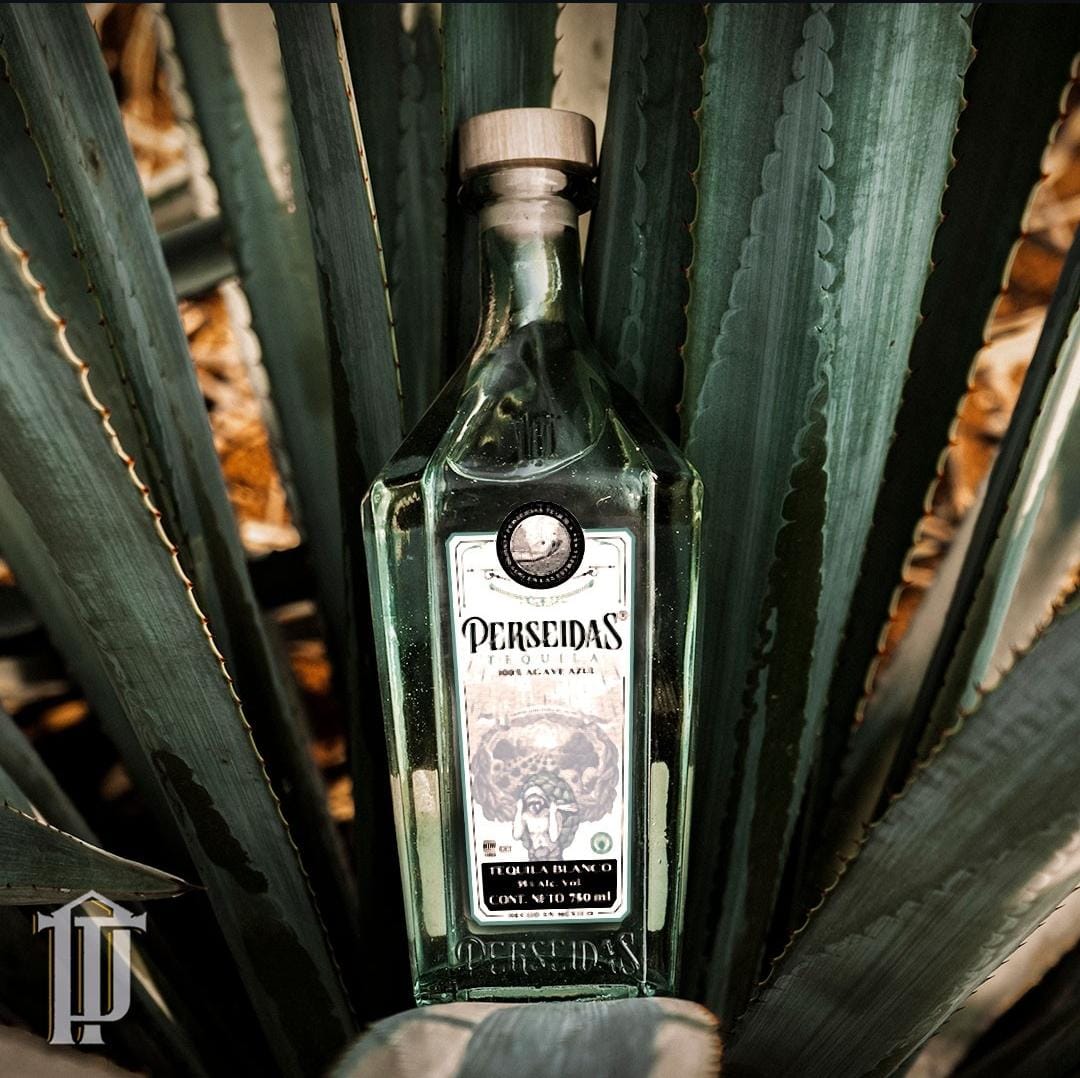 Perseidas Tequila